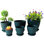 Pots à plantes avec trous de drainage et soucoupe, pots à fleurs en plastique pour plantes d'intérieur, pots à fleurs légers pour plantes
