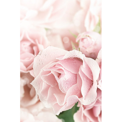 Gros plan sur une rose sur toile par Stephaniefrey, photographie