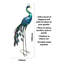 Xan Metal Garden Peacock  Statue 108cm