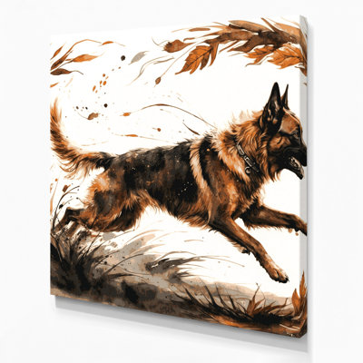 Dogs Belgian Malinois Gray Canvas Wall Art