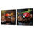 Lively Ladybug Reflections - Insects & Bugs Square Collage Set Of 2-2016531643-2016531640