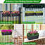 Planter Box