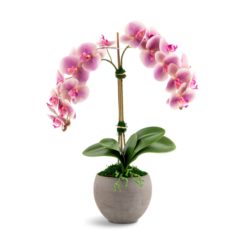 Arrangement Cassis RealTouch Orchid, Periwinkle
