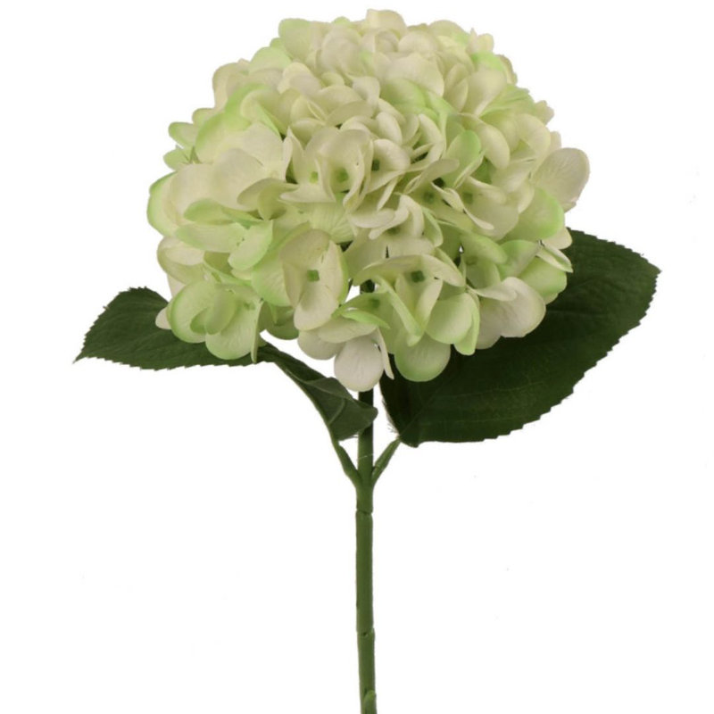 Rosado Silk Hydrangea Arrangement