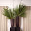 Isandro Glass Table Vase