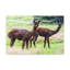 Wall Art on Canvas-1838209262