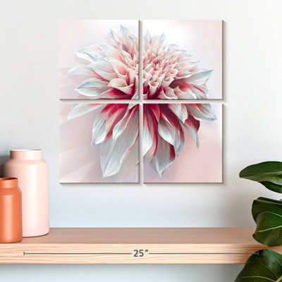 Harnek Red White Dahlia