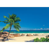 Celestyn 6.4' L x 106.8" W 4-Panel Wall Mural