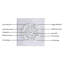 Ventilateur de plafond 52 po sans lumière-121071204-121071202