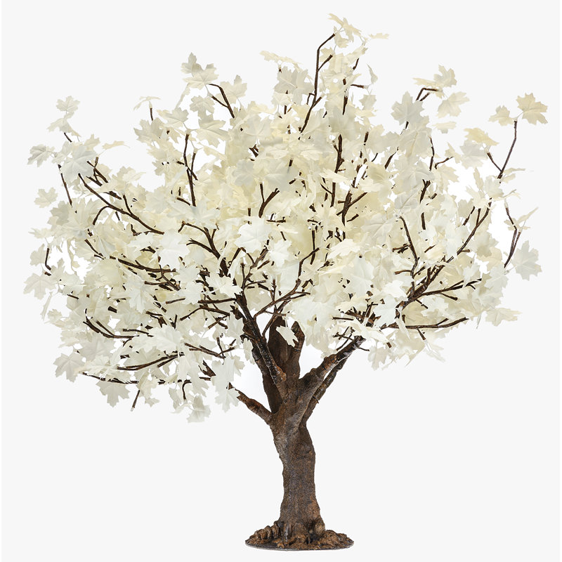Érable illuminé arbres et branches