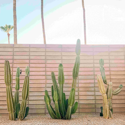 Scottsdale Heat - photographie sur toile tendue