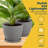 Plant Pots with Drainage & Saucers, Indoor & Outdoor Planters for Houseplants, Herbs, and Flowers, Durable & Weatherproof Material, Stackable, Lightweight, Minimalist Design, Pack of 6-229664091-229664080