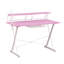 Bureau de jeu Techni Sport avec étagères