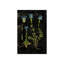 Botanical Study III Print by Michelle Bennett-26940109