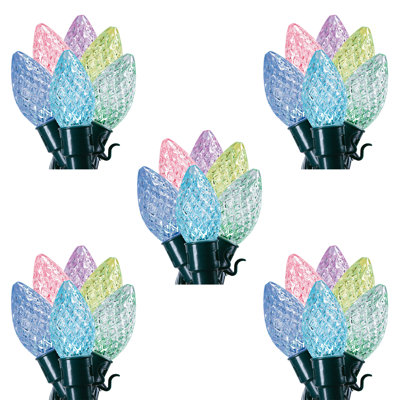 Indoor / Outdoor 20 - Bulb 189.6 in. Plug-in LED Novelty String Light