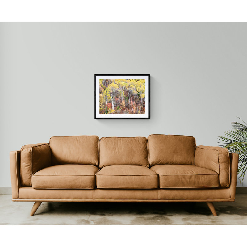 Swan Valley Autumn Portrait #1 Print by Bruce Heinemann, Wrapped Canvas, No Mat, 30" H x 40" W