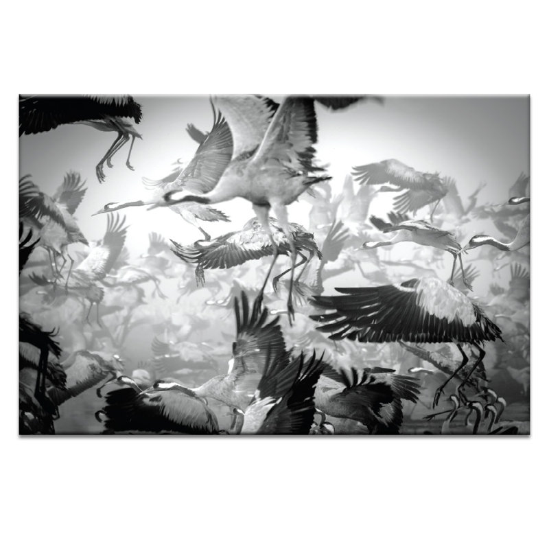 Photographers Lane - Wrapped Canvas Print, 76cm H x 51cm W
