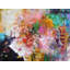 Floralsplash Print by Elizabeth Chapman-2129325247