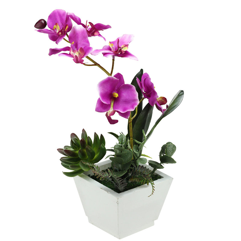 Orchidée artificielle rose en pot 13 po avec plantes succulentes