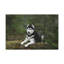 No Frame Print on Canvas-1129166118