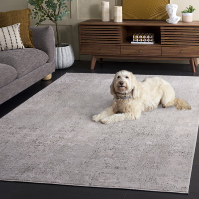 Tapis Conway Princeton Performance