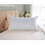 Wayfair Sleep™ Polyester Plush Pillow-1002670899