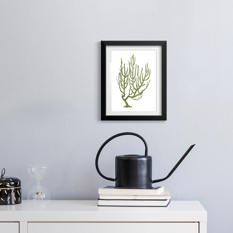 Desert Rose Valley I -Gallery Wrapped Canvas