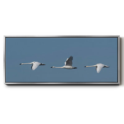 Wing Up Wing down- Framed Canvas