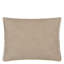 Cartouche Decorative Pillow-704875025
