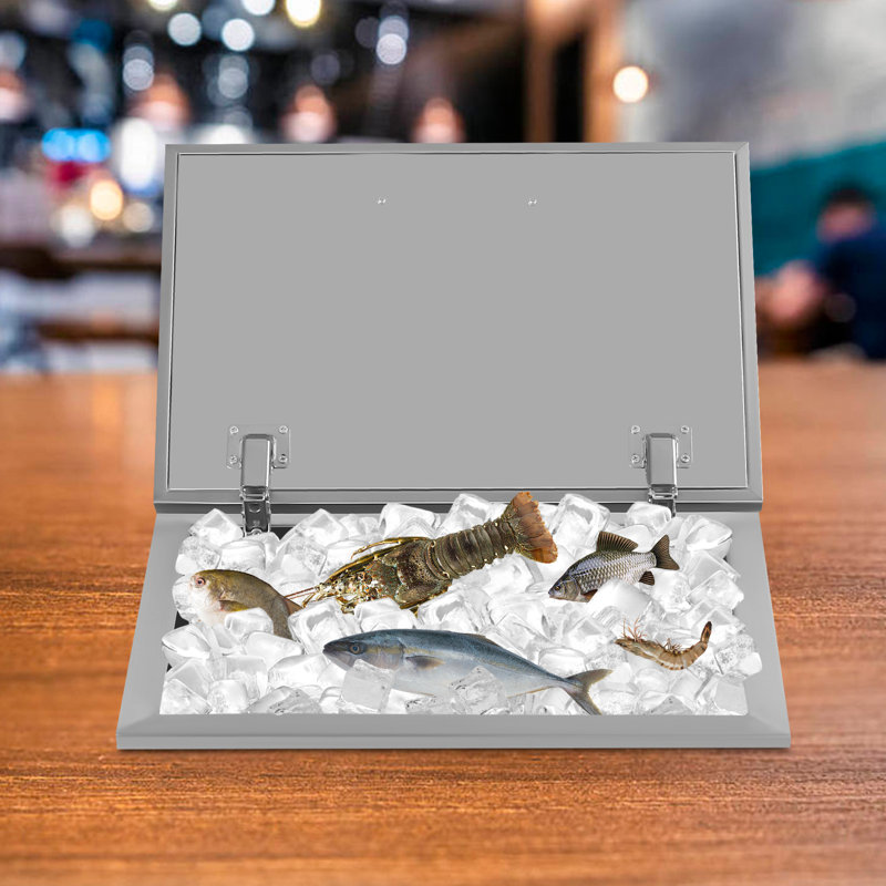 Danity Bar Cooler Stainless Steel Ice Bin