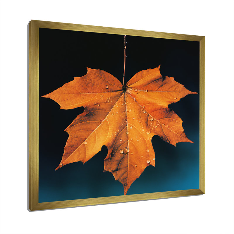 Feuillage tangerine orange érable translucide I, Cadre doré simple, H 24 po x l 24 po x P 1 po