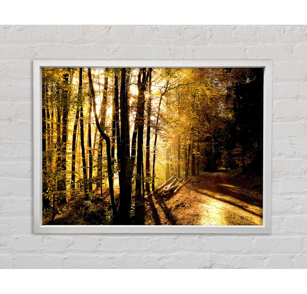 Beautiful Forest Road Autumn - Einzelbildrahmen Kunstdrucke auf Leinwand