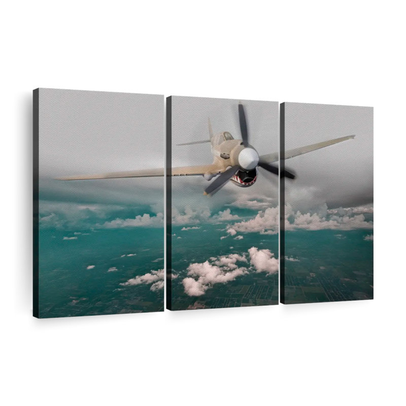 «Curtiss P 40 Warhawk» - 3 pièces, H 48 po x l 74 po