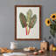 Organic Veg V - reproduction de cadre photo sur toile-369204819-369204816