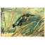 'Kingfisher' by Vincent Van Gogh Painting Print-21212907