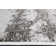 Baldovino Abstract Area Rug