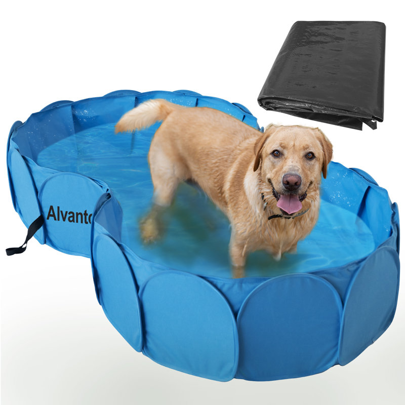 Blue Double Pet Swimming Pool with PVC Frame