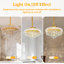 6 - Light Chandelier