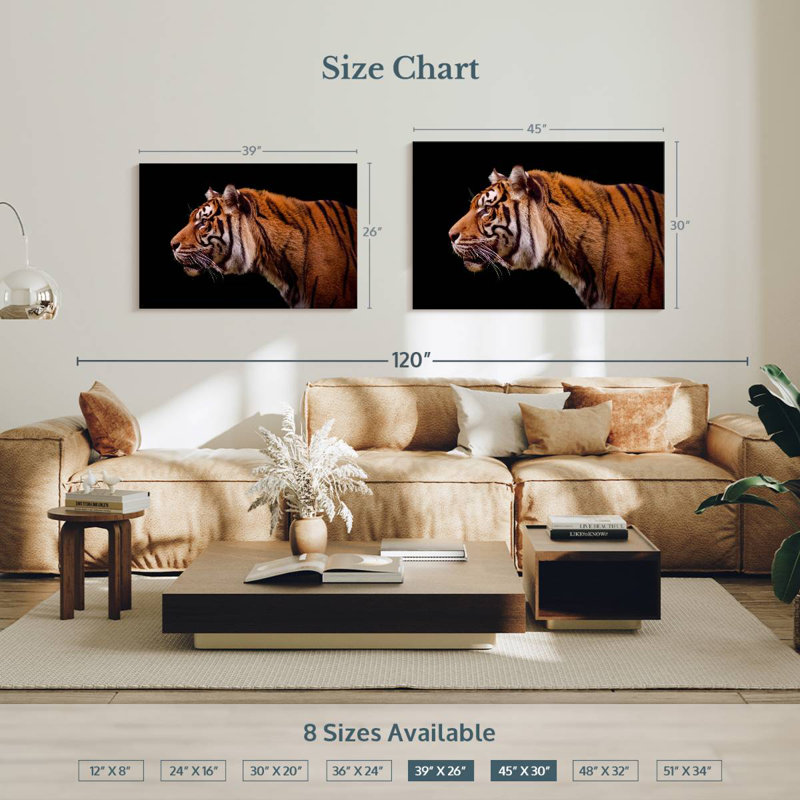 Brampt Royal Tiger, 26" H x 39" W