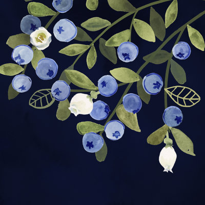 Fresh Fruit VI by Victoria Borges - Wrapped Canvas Painting