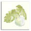 «Plant Big Leaf IV» par Chris Paschke-581337143