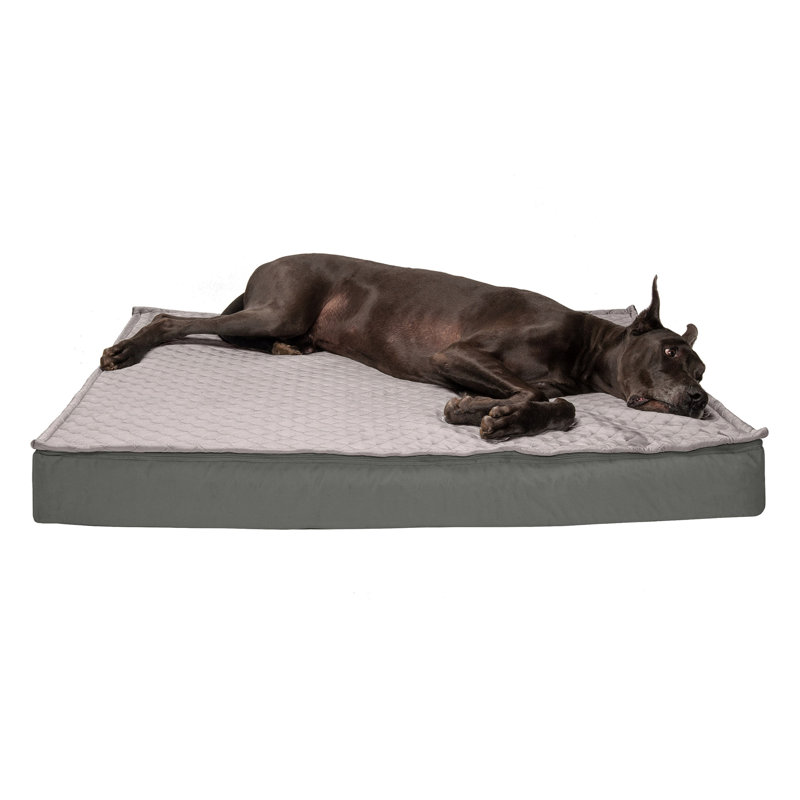 Orthopedic Polyester Pet Bed, Gray, Jumbo Plus (53" W x 40" D x 5" H)