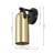 Caniah Iron Armed Sconce