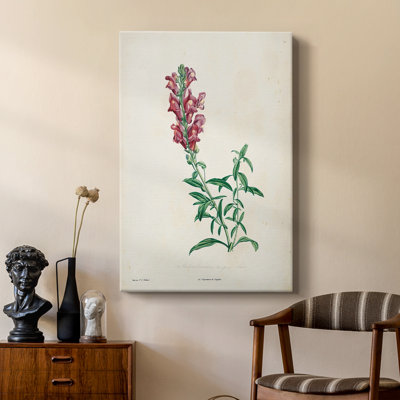 Traditional Botanical I - galerie sur mesure