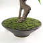101.6cm Faux Bonsai Plant in Pot