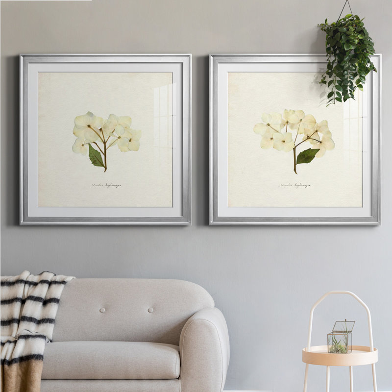 Cornales Hydrangea I Cornales Hydrangea I - ensemble de 2 reproductions de cadres photo, H 17,5 po x l 35 po, Argent argent