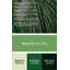 Hawaiian Growing Bamboo Green Canvas Wall Art-1991495115