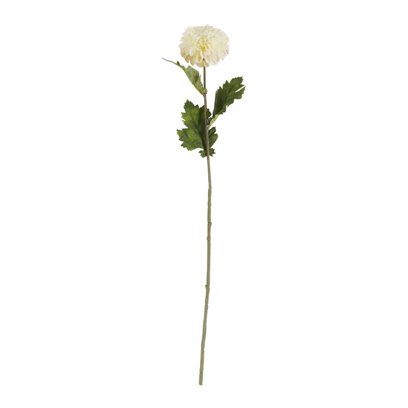 Ensemble de 12 tiges Dahlia, Blanc