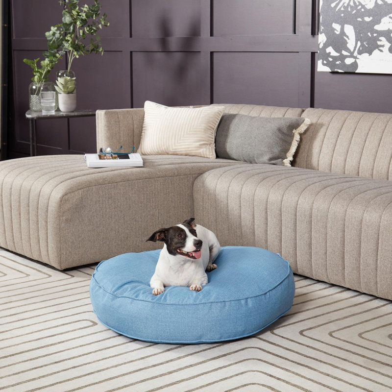 Lit-coussin pour chien Gordie, Moyen (l 30 po x P 36 po x H 5 po), Bleu