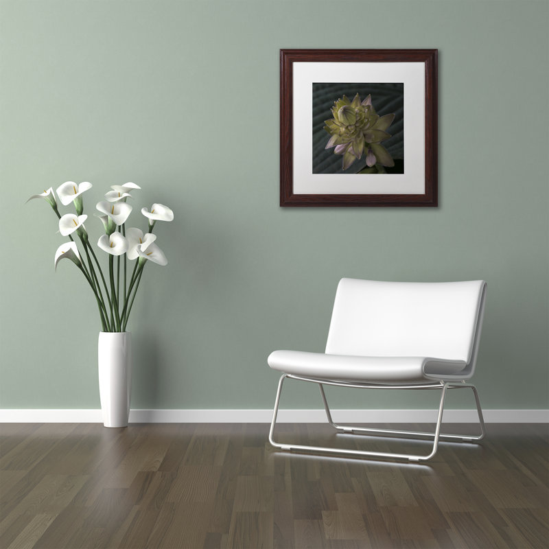 Early Hosta Flower Abstract Framed Canvas Print in Brown Wooden Frame